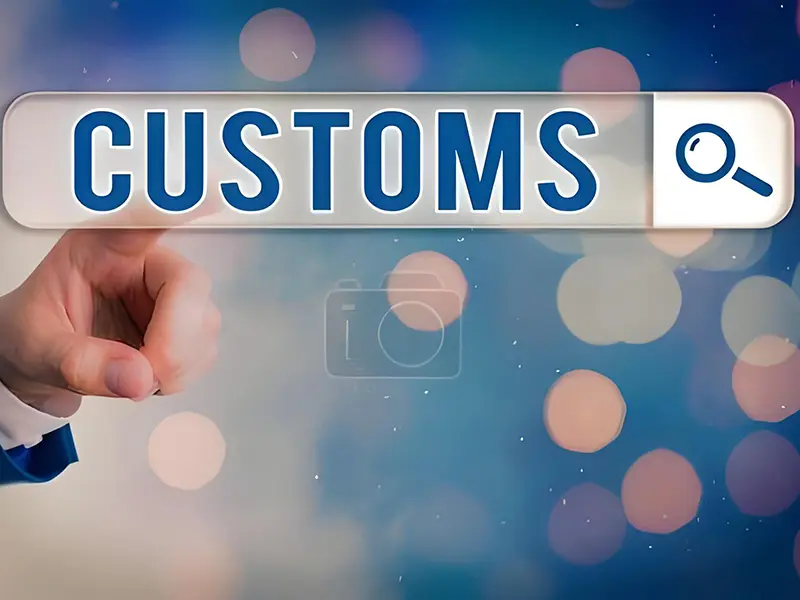 Professional Customs Clearance